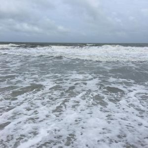 Meet your Posher, Lashae